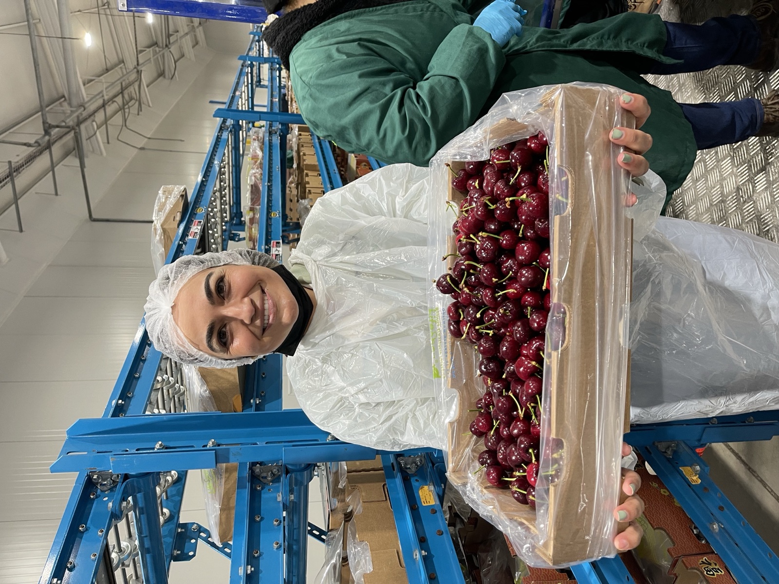 Cold storage operation cherry export